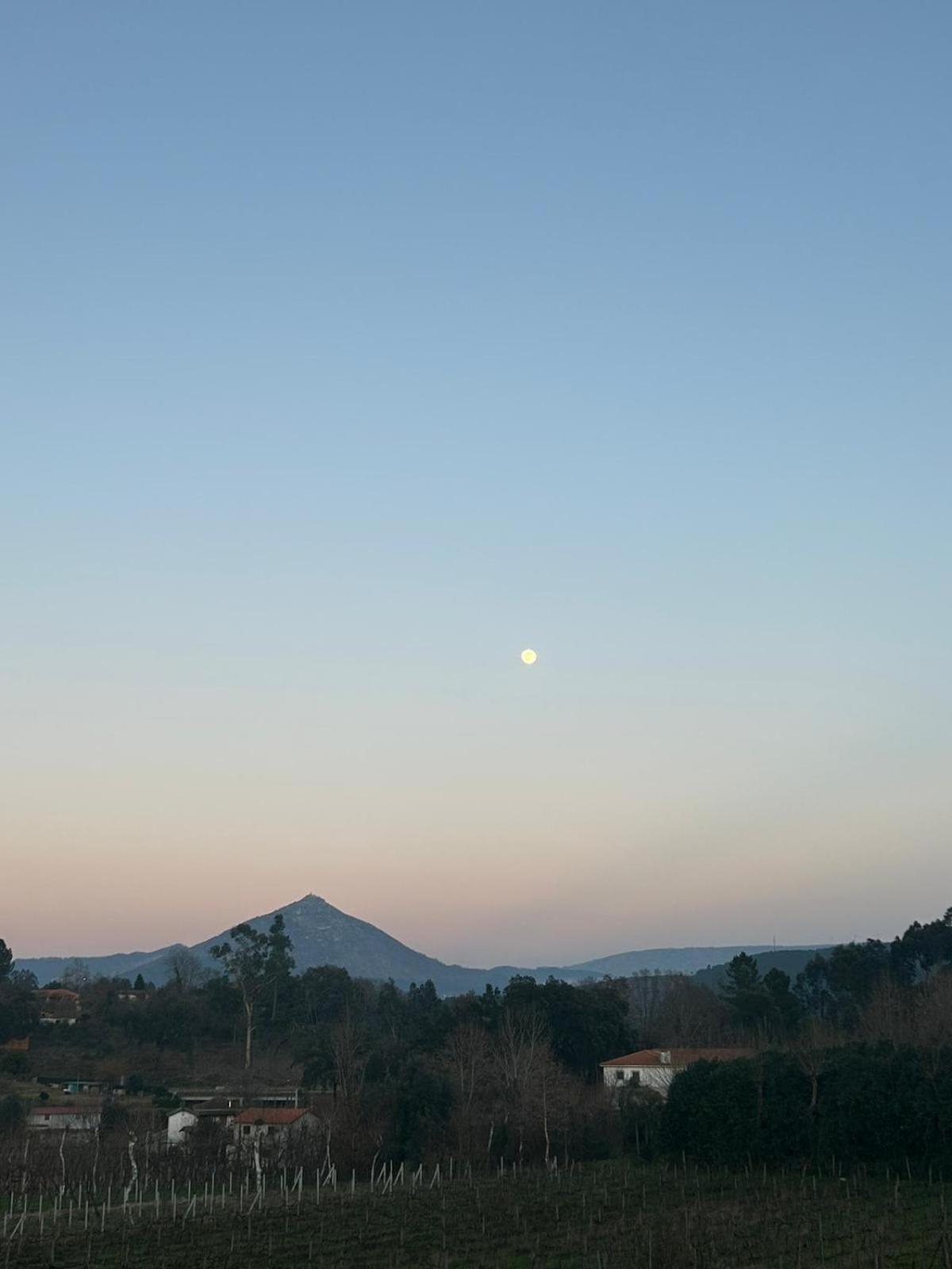Quinta Da Lage Agroturismo E Enoturismo Celorico De Basto Exteriér fotografie