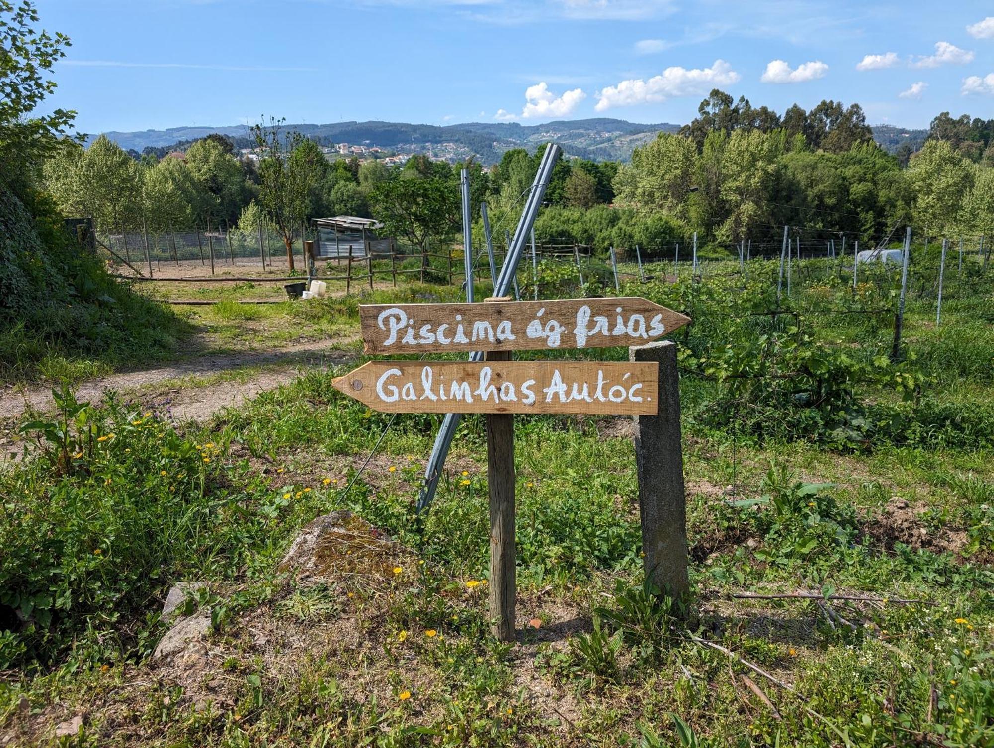 Quinta Da Lage Agroturismo E Enoturismo Celorico De Basto Exteriér fotografie